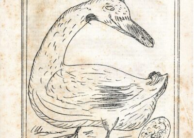 Die Namenlose Schülerzeitung